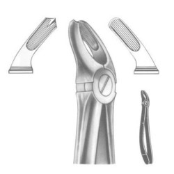 Tooth Extracting Forceps